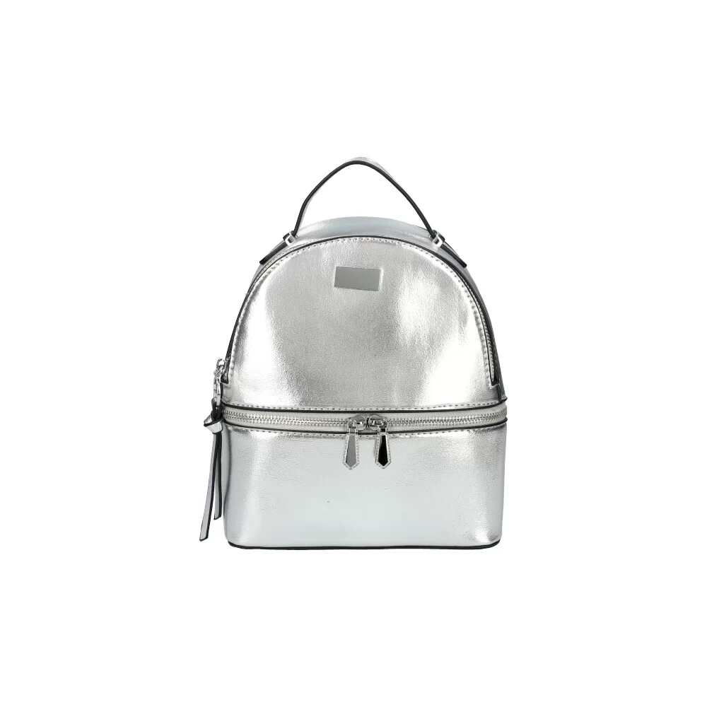 Backpack AM0182 - SILVER - ModaServerPro